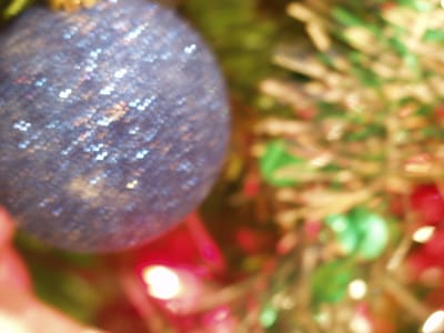 PC116293.JPG