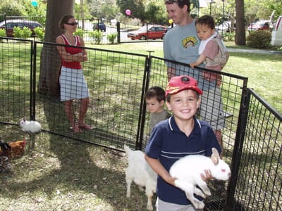 PA196065.JPG