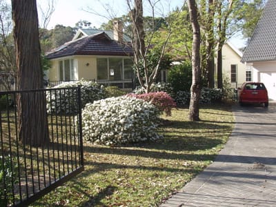 P9135868.JPG
