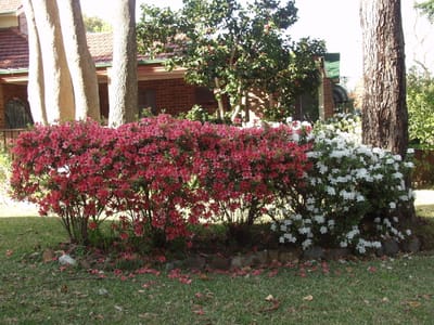 P9135871.JPG