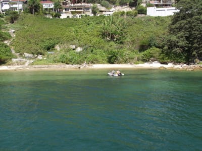 PC136411.JPG