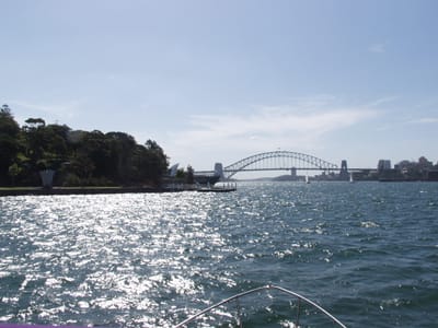 PC136431.JPG