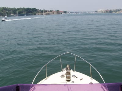 PC284218.JPG