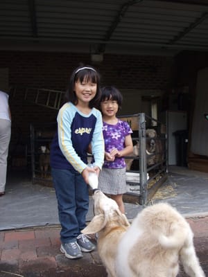 P4214753.JPG