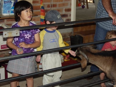 P4214790.JPG