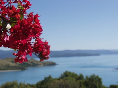 P7255554.JPG