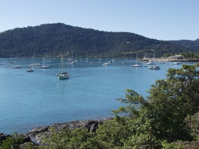P7265565.JPG