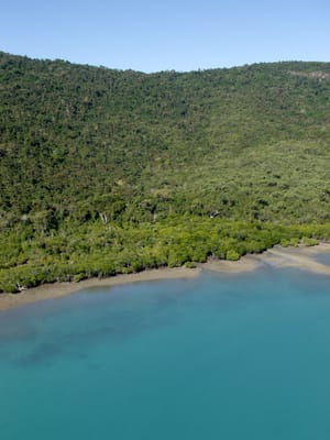 P7265594.JPG
