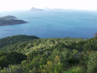 P7285630.JPG