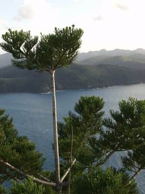 P7285633.JPG