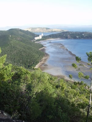 P7285641.JPG