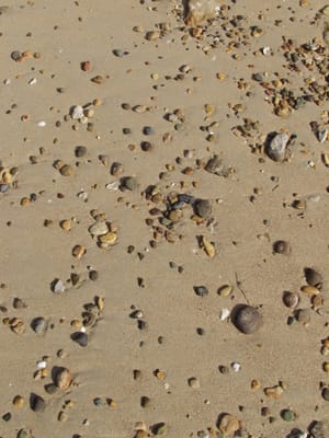 P7285644.JPG