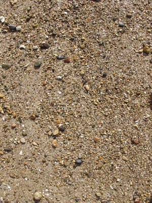 P7285645.JPG