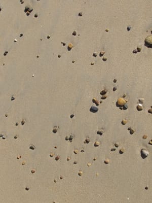 P7285646.JPG