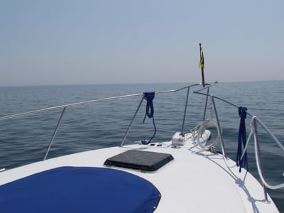 P6215157.JPG