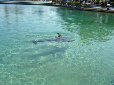 Mar03080.jpg