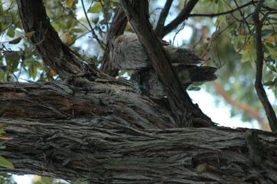 DSC_2220.JPG