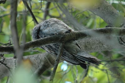 DSC_2222.JPG