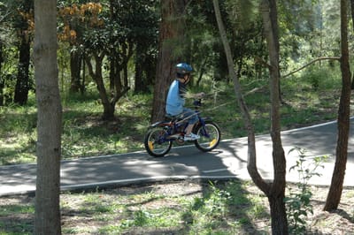 DSC_2263.JPG