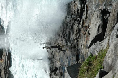 DSC_1676.JPG