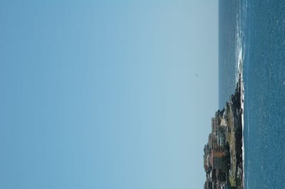 DSC_1698.JPG