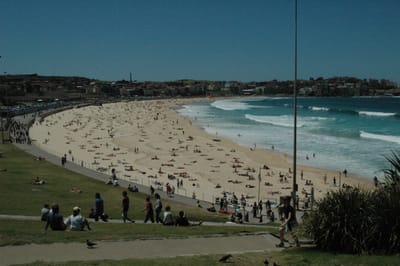 DSC_1699.JPG