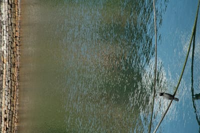 DSC_1893.JPG