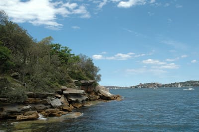 DSC_1907.JPG