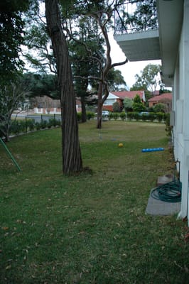 DSC_0011.JPG