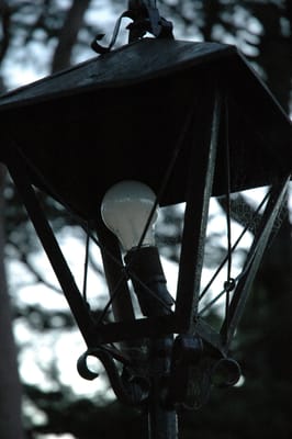DSC_0017.JPG