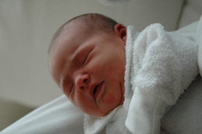 DSC_2012.JPG