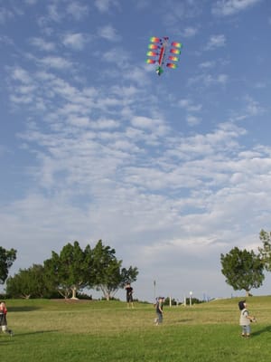 P4038611.JPG