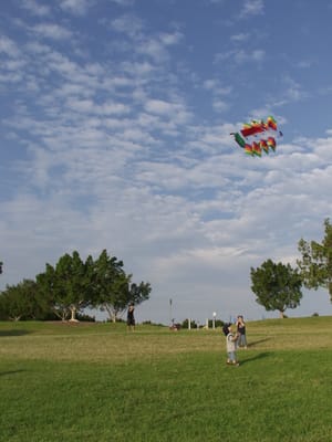 P4038612.JPG