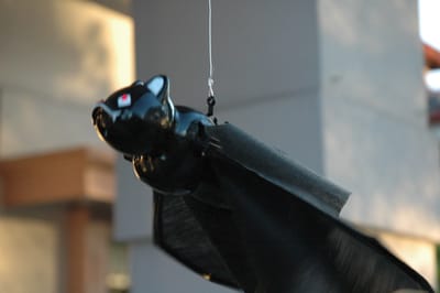 DSC_1780.JPG