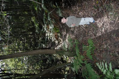 DSC_0323.JPG