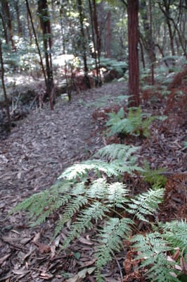 DSC_0327.JPG