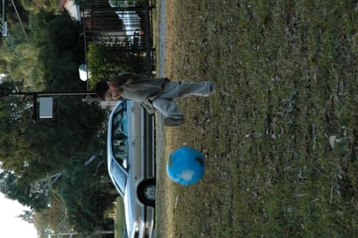 DSC_0341.JPG