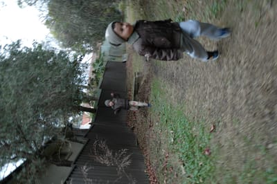 DSC_0004.JPG