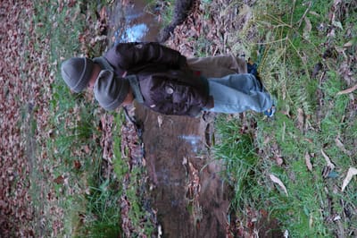DSC_0006.JPG