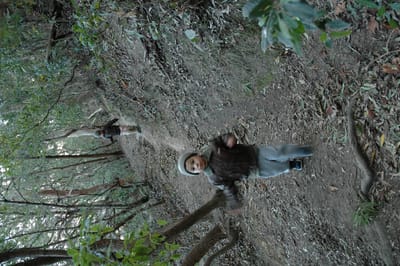 DSC_0031.JPG
