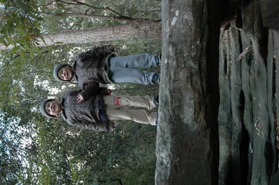 DSC_0037.JPG