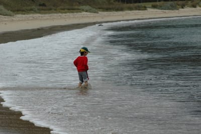 DSC_1113.JPG