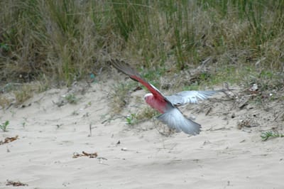 DSC_1123.JPG