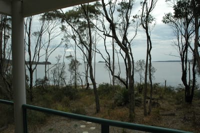 DSC_1142.JPG