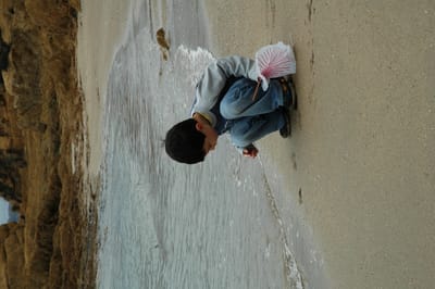 DSC_1147.JPG