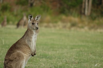DSC_1169.JPG