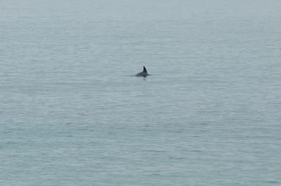 DSC_1187.JPG