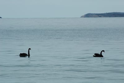 DSC_1199.JPG