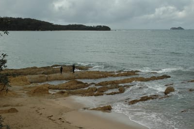 DSC_1215.JPG