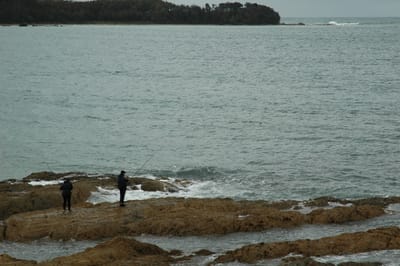 DSC_1217.JPG